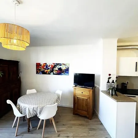 T1bis 33 M²/balcon/10 M Du Port 公寓